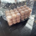 Kundbild Färgpigmentsticks - gammal ros 2 st.: Liten tint av ljus rosa, bubbel...