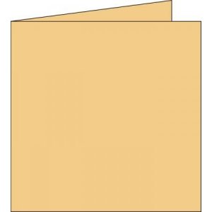 Pollen Dubbelkort 160x160- 25-pack - Karamell Pollen Dubbelkort 160x160- 25-pack - Karamell